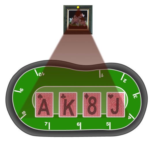 cámara de infrarrojos